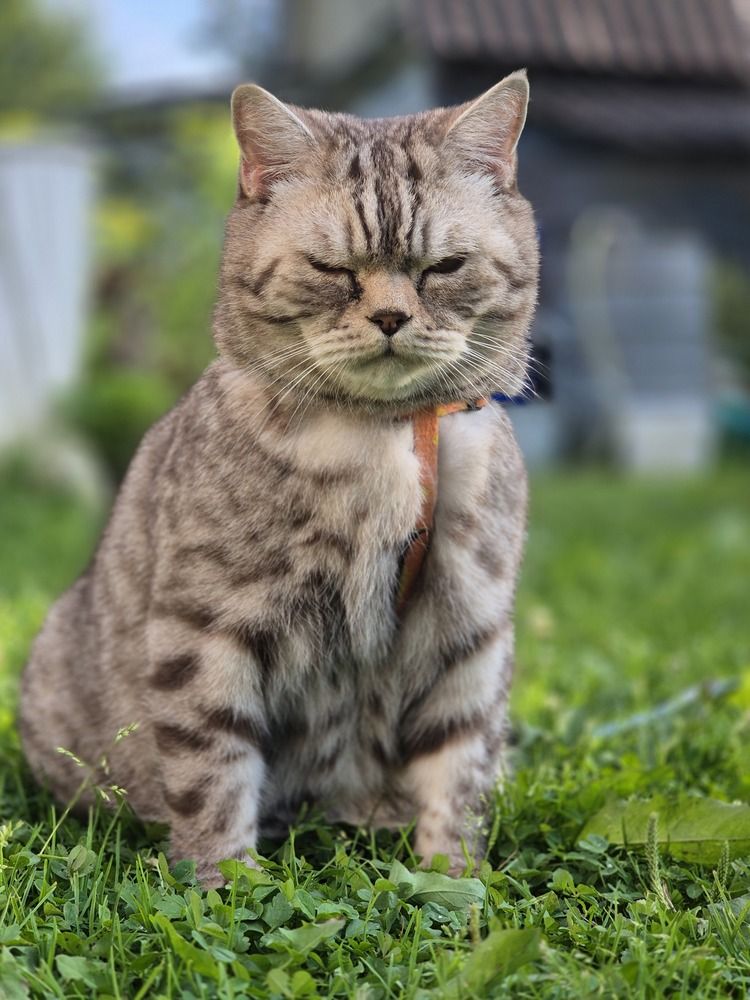 Photograph by Мария Коломиец