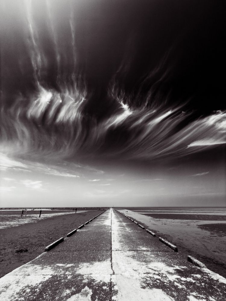 Photograph by ryuichi