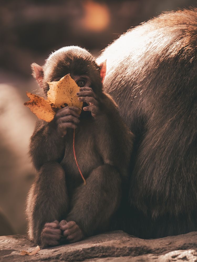 Photograph by ryuichi