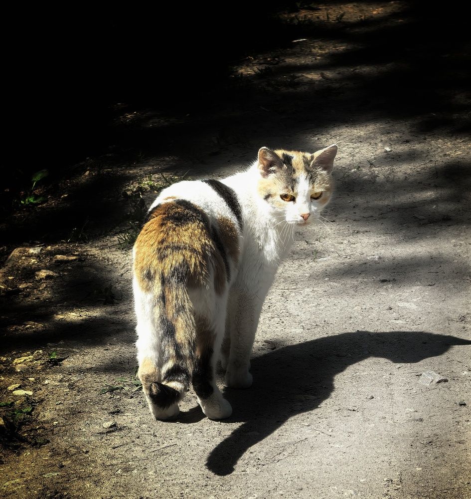 Photograph by Юрий Полушин