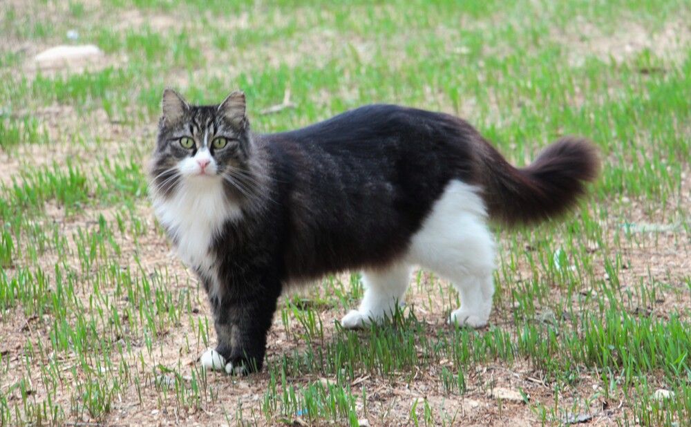 Photograph by Людмила Бутова