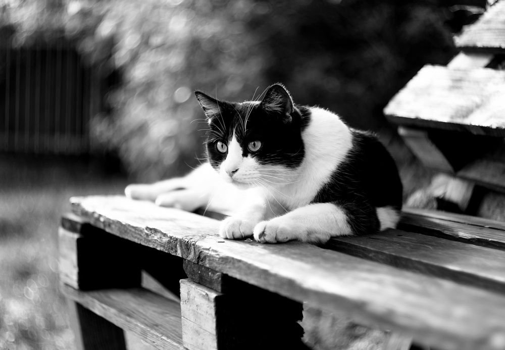 Photograph by Леонид Уральский