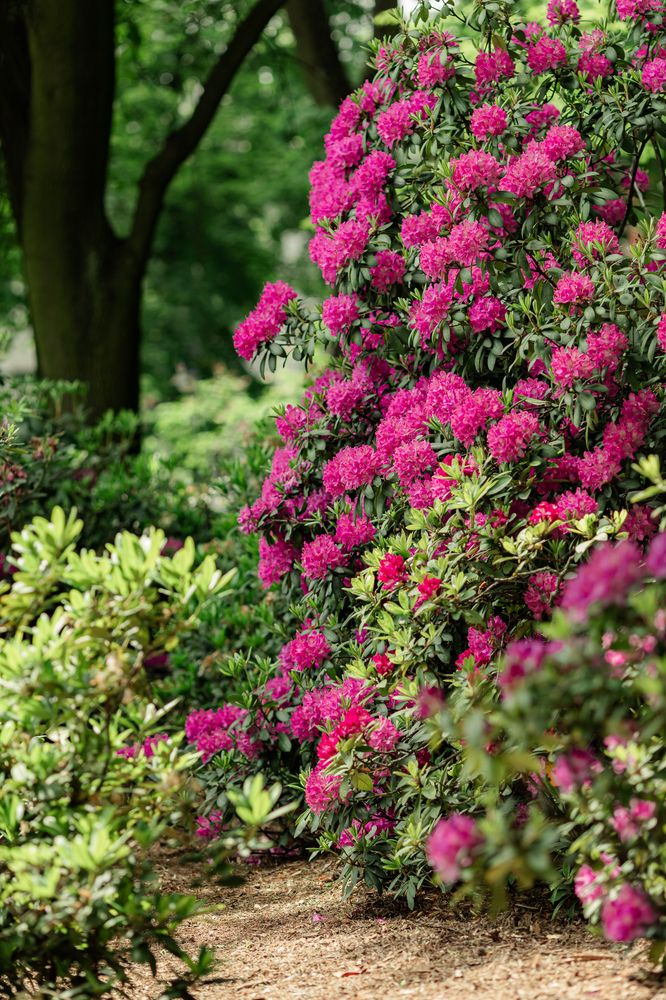 Photograph by Людмила Колесниченко