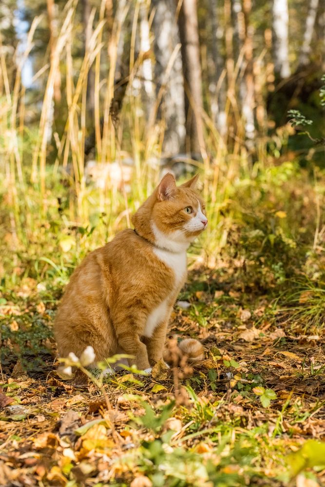 Photograph by Ирина