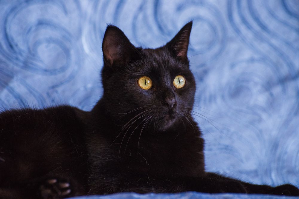 Photograph by Ирина