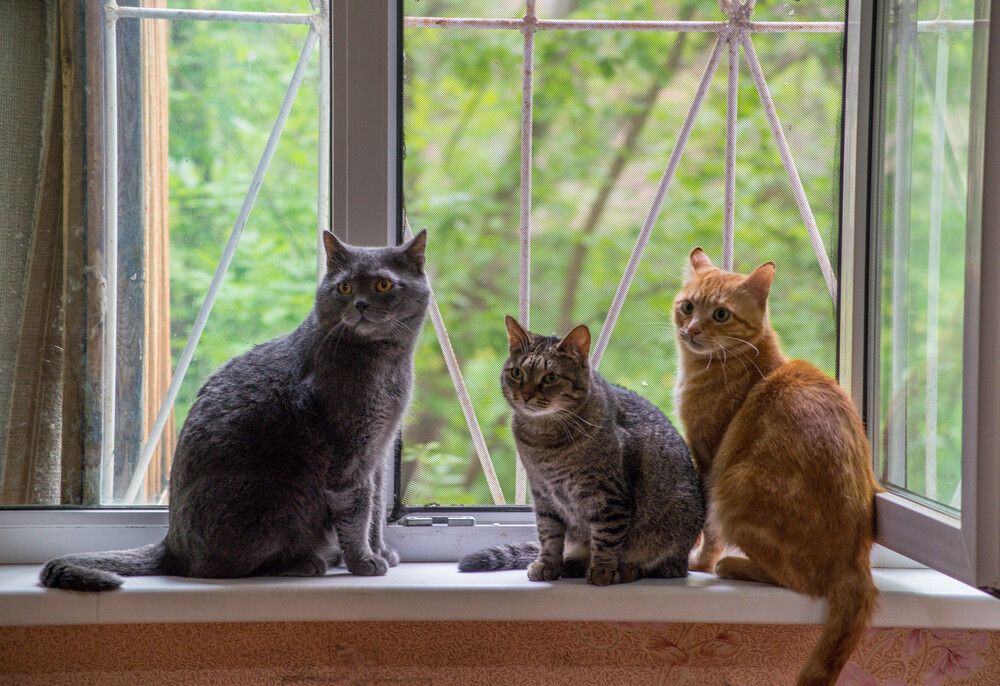 Photograph by Ирина