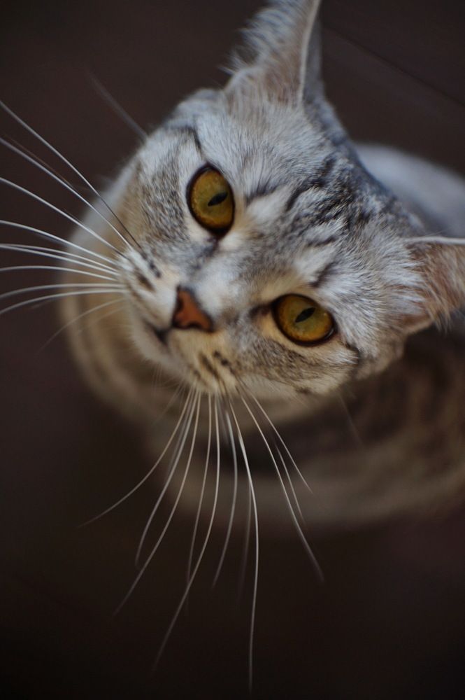 Photograph by Николай Алексеев