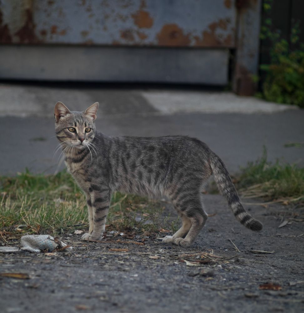 Фотография автора Александр Булавко
