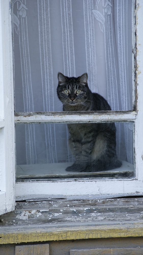 Photograph by Николай Алексеев