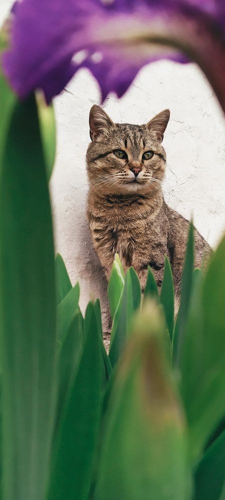 Фотография автора Наталья Алексеева