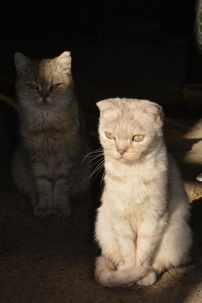 Photograph by Татьяна Кабанец