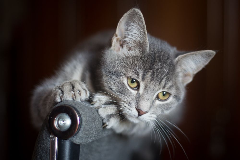 Photograph by Сергей Алексеев