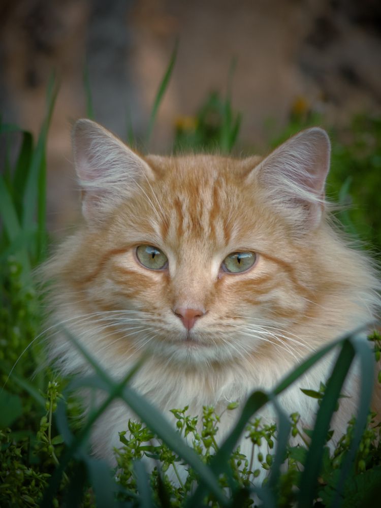 Photograph by Игорь Сухаревич