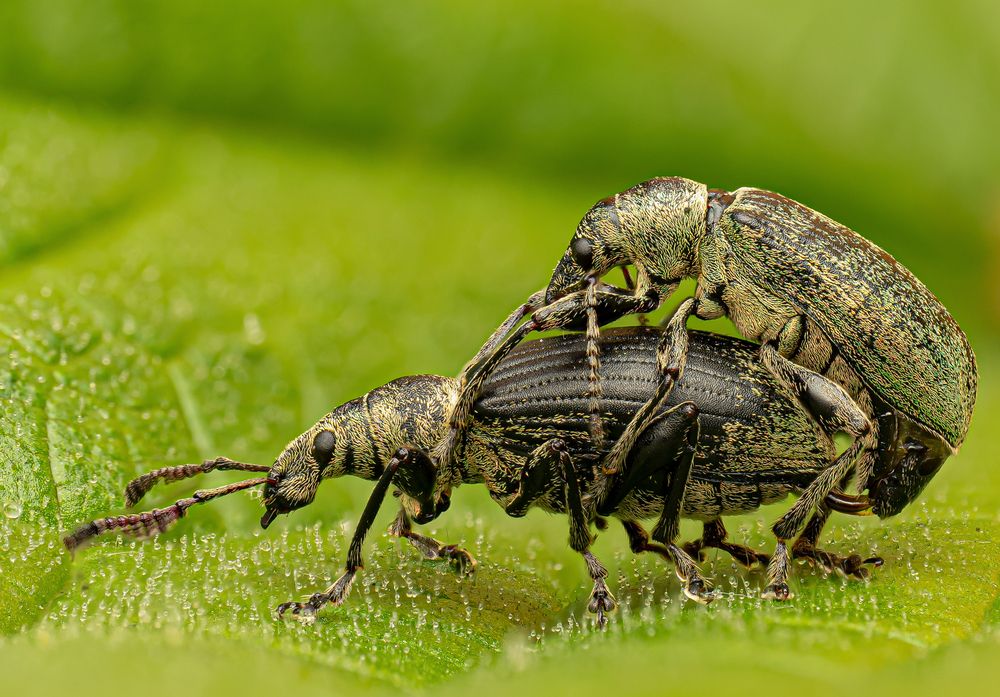 Photograph by sylvain CHAUVEL