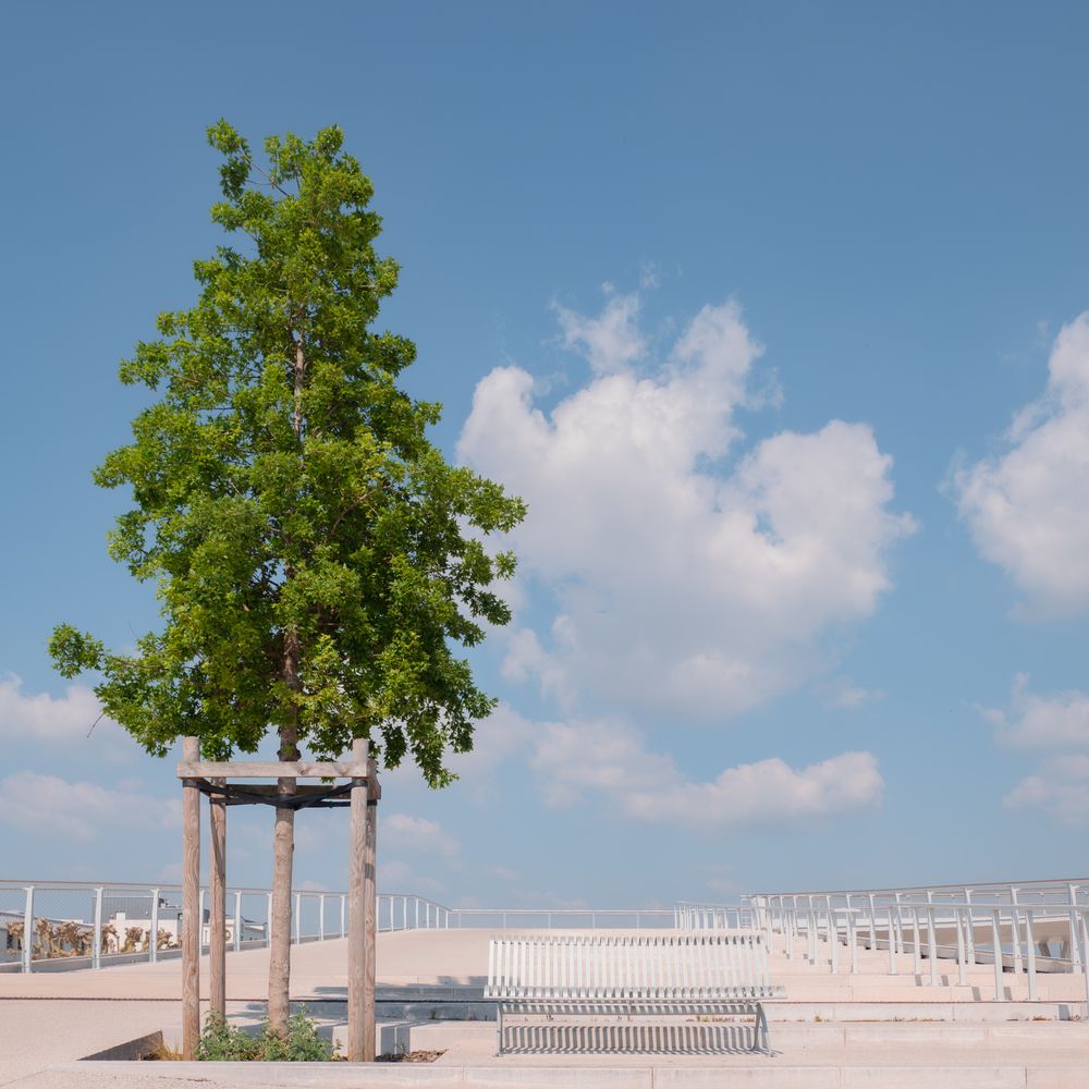 Photograph by Mélina Delbert