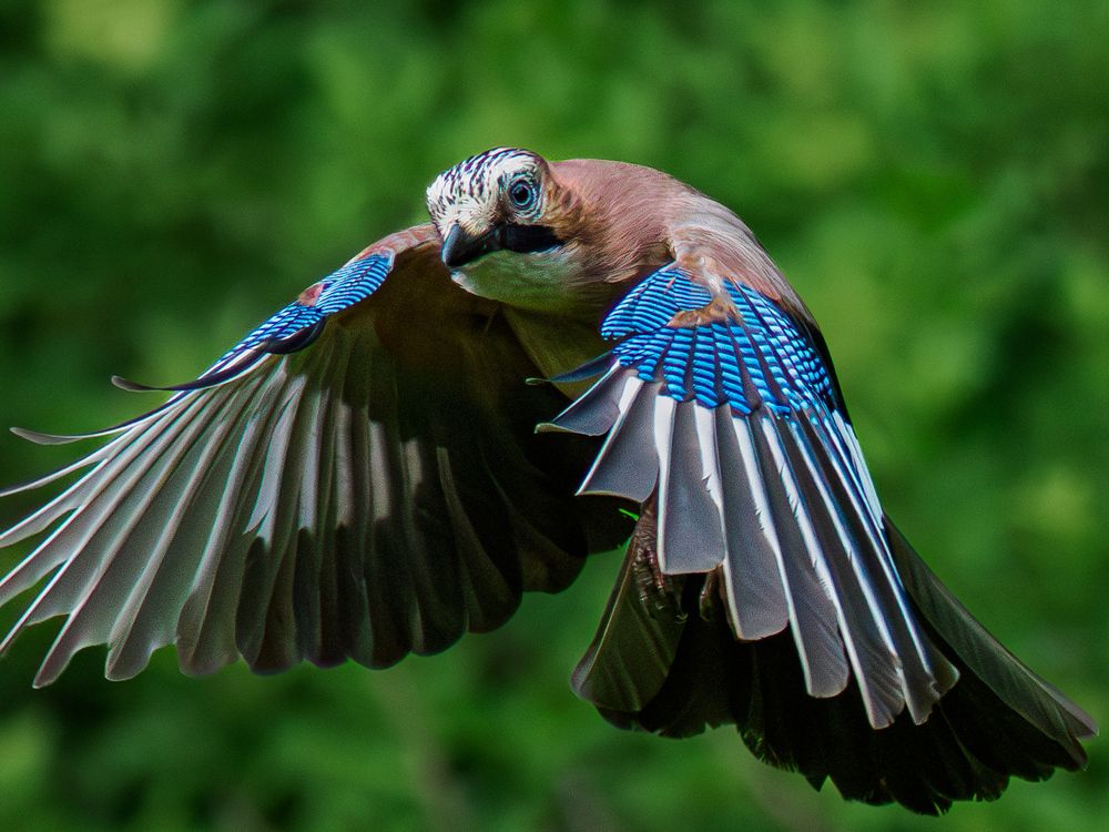 Photograph by Daniela Retzer