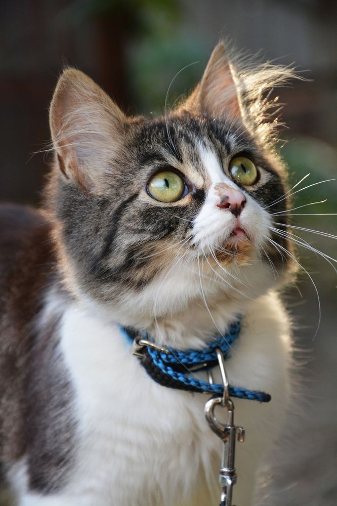 Photograph by Татьяна Кабанец