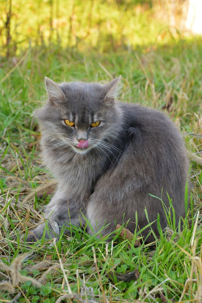 Photograph by Татьяна Кабанец