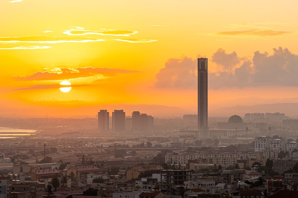 Photograph by Alaa Nour