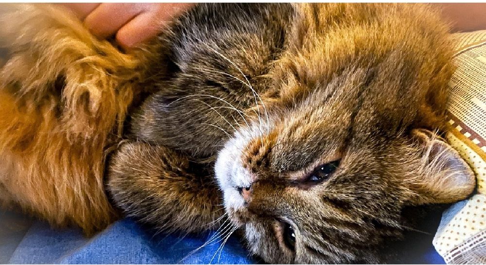 Photograph by Михаил Шевцов