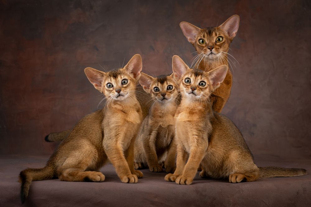 Photograph by Dina Damotseva