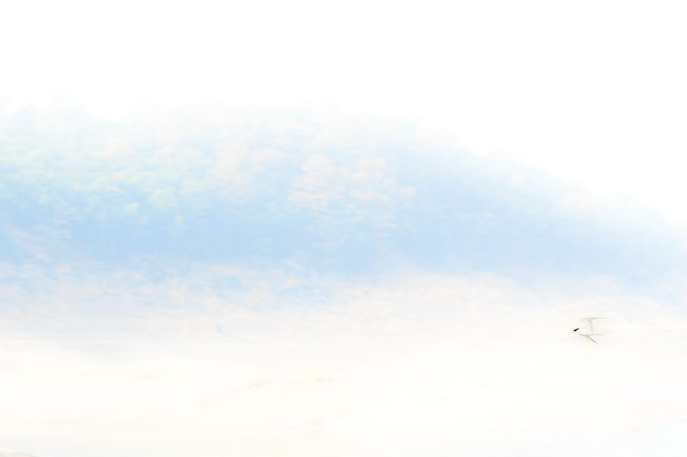 Фотография автора Tushar Bhogle