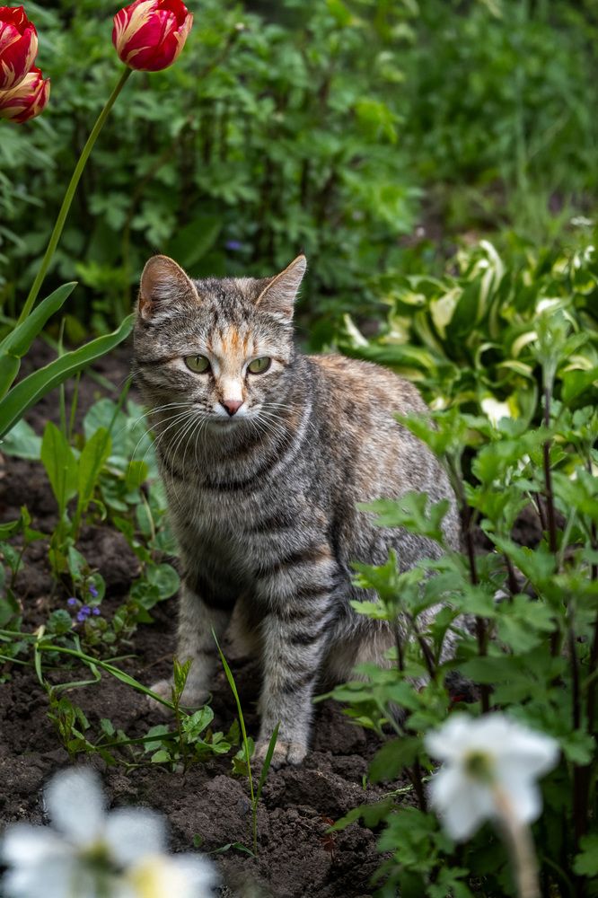 Photograph by Александра Тараскина