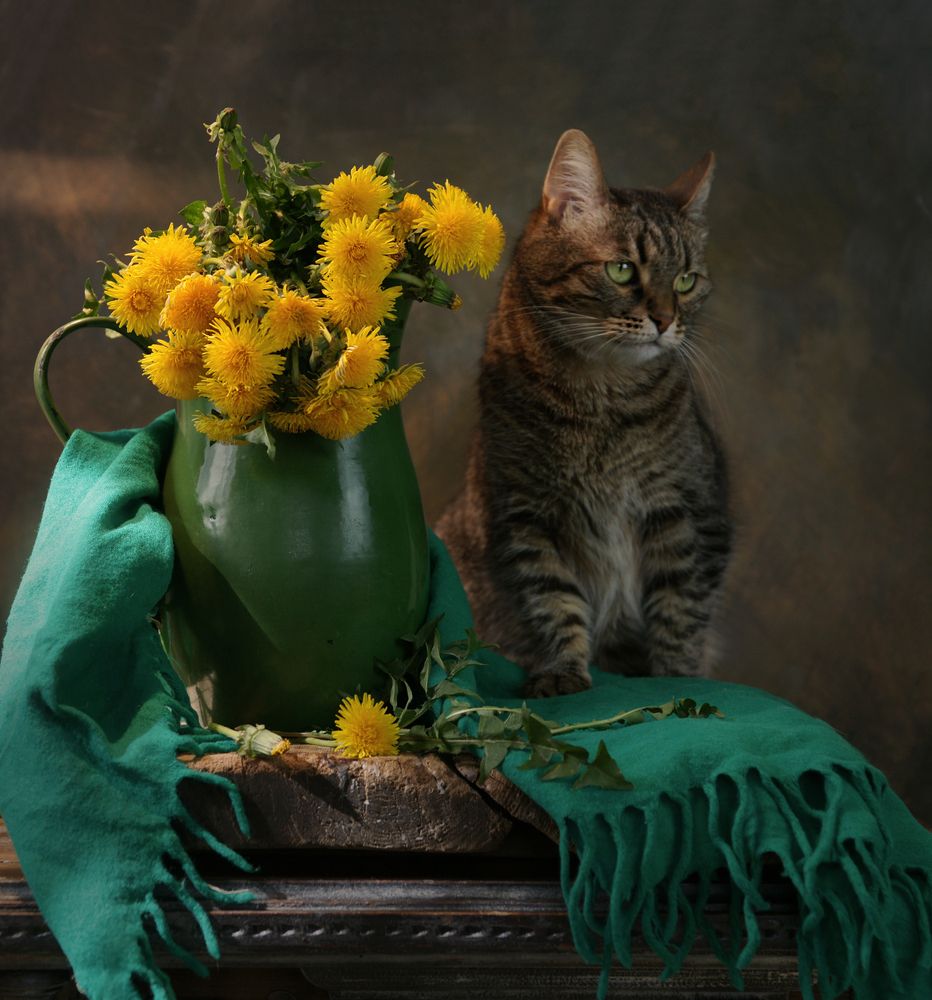 Photograph by Сушкевич Светлана