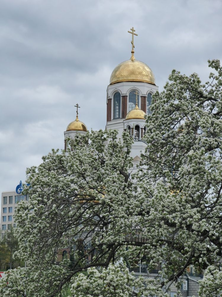Photograph by Чкареули Светлана