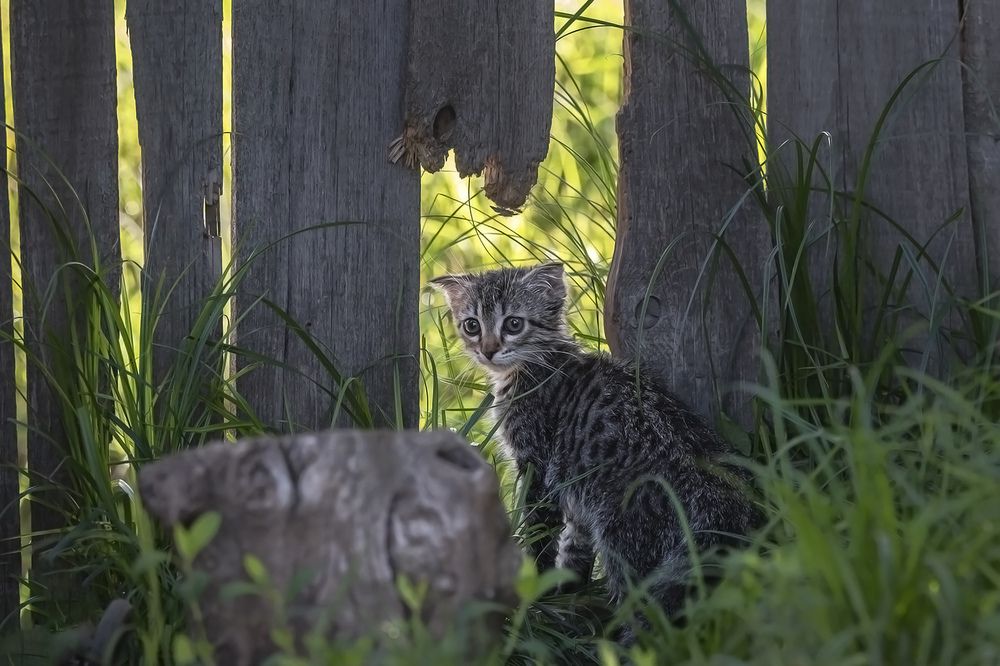 Маленький в большом мире.