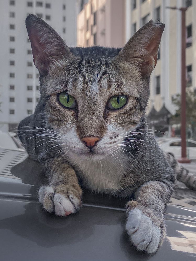 Photograph by Jayakumar MN