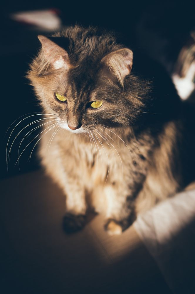 Photograph by Ирина Федорищева