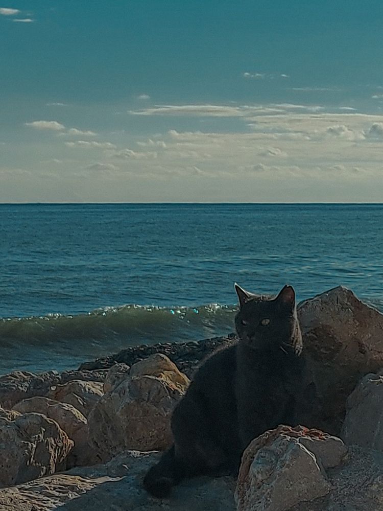 Photograph by Ильяна Арсевер