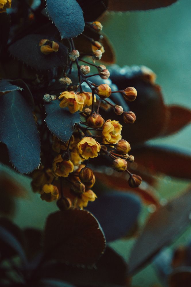 Фотография автора Максим Светличный