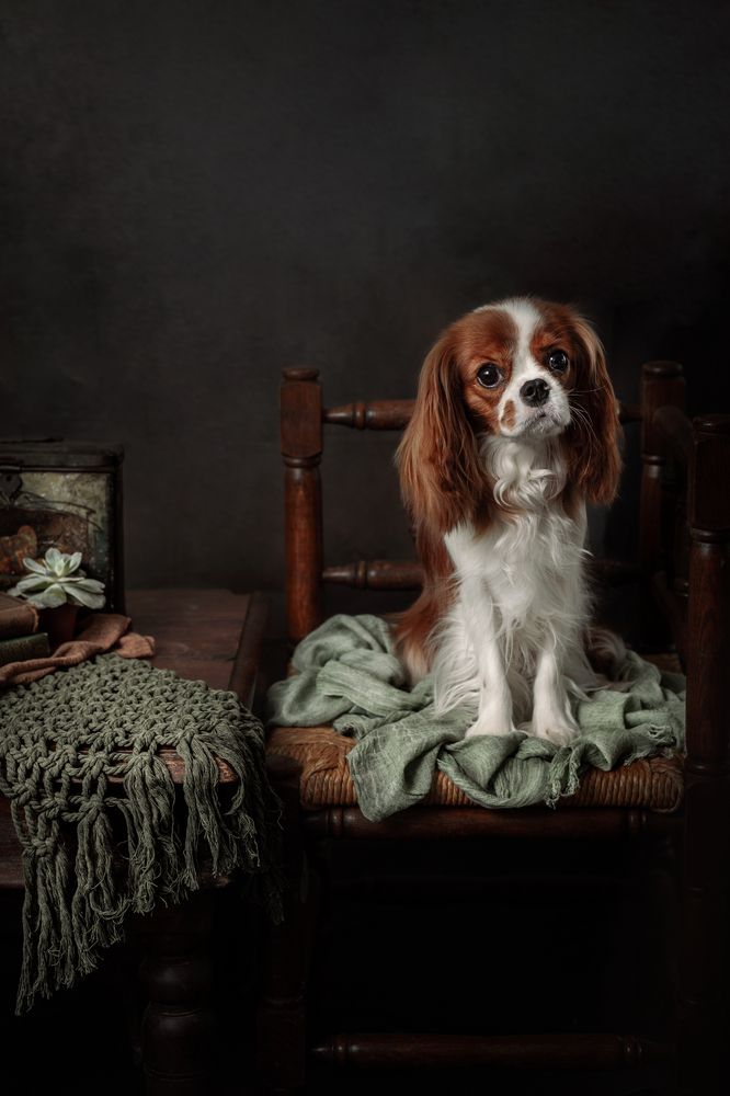 Photograph by Gertrude Goené