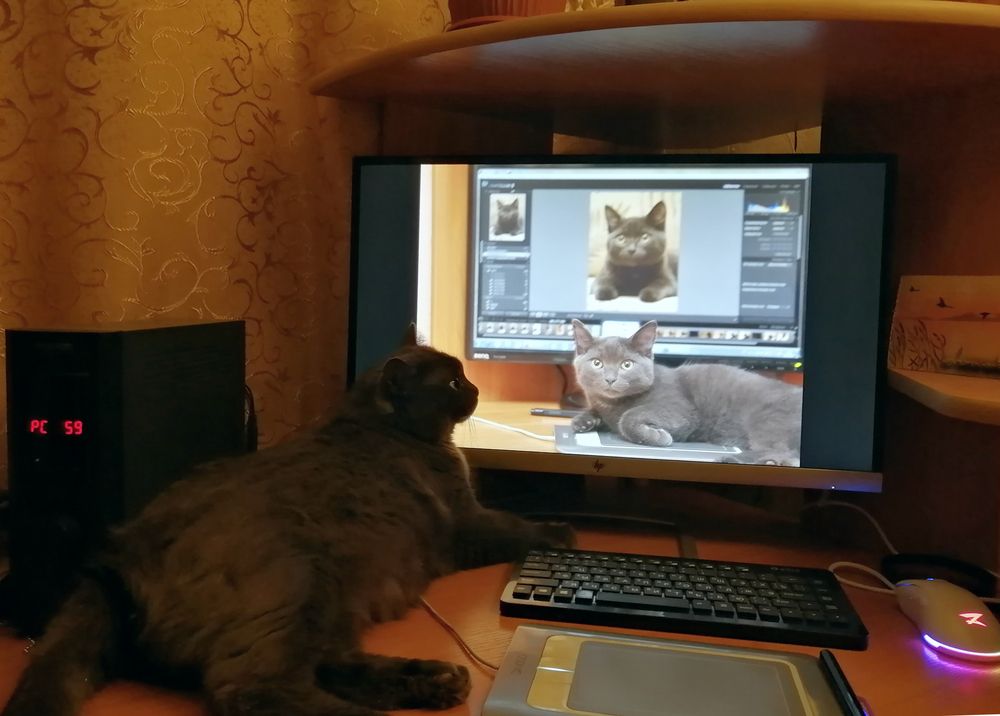 Фотография автора Andrey Pristyazhnyuk