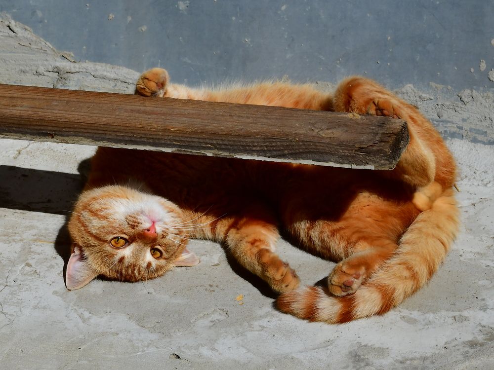 Photograph by Николай Абакумов