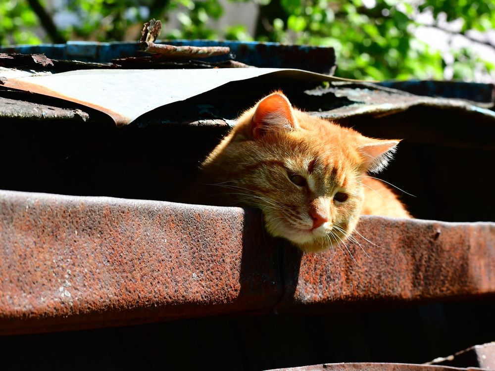 Photograph by Николай Абакумов