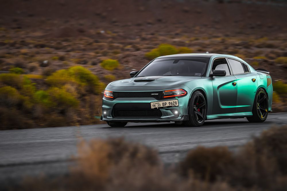 Photograph by Mahdi Reihani Bozorg