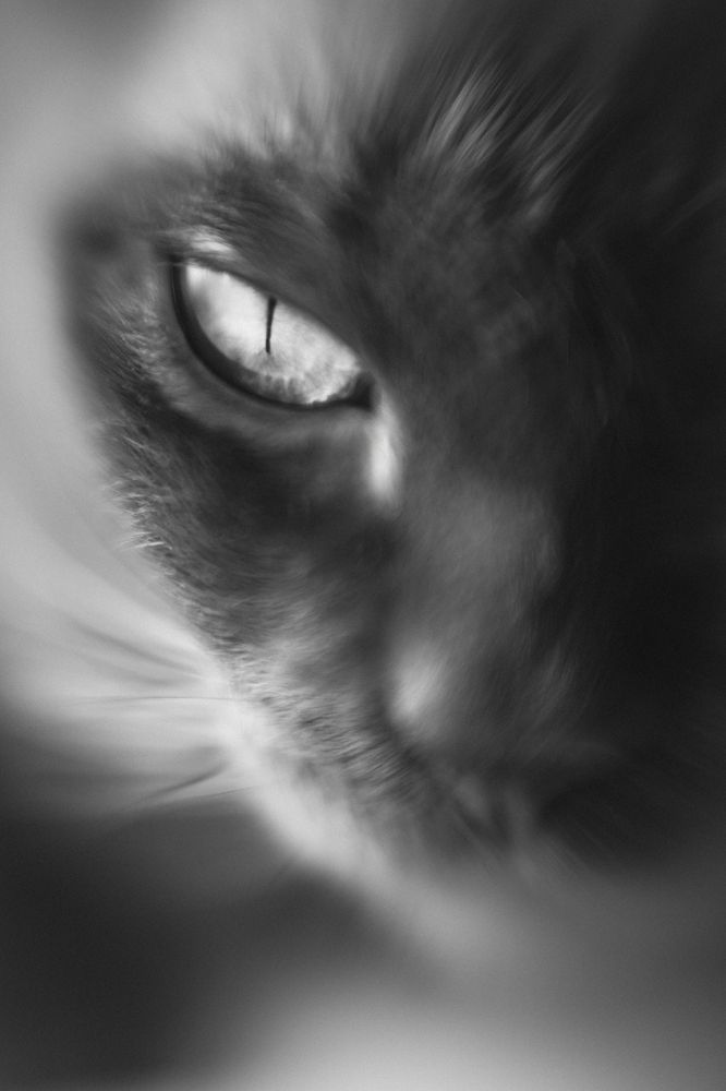 Photograph by Эльвира Полудницына