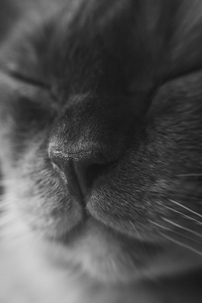 Photograph by Эльвира Полудницына