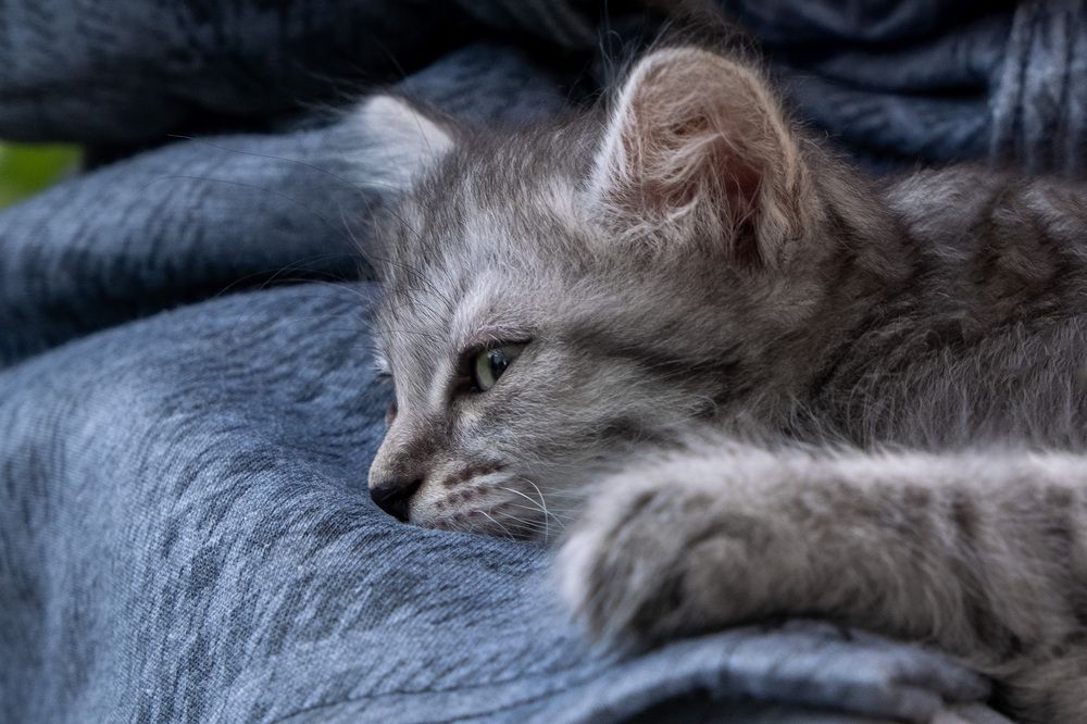 Photograph by Александра Тараскина