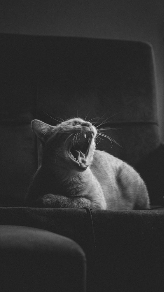 Photograph by Vadzim Darafei