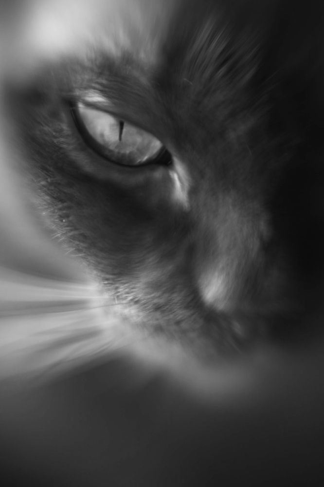 Photograph by Эльвира Полудницына