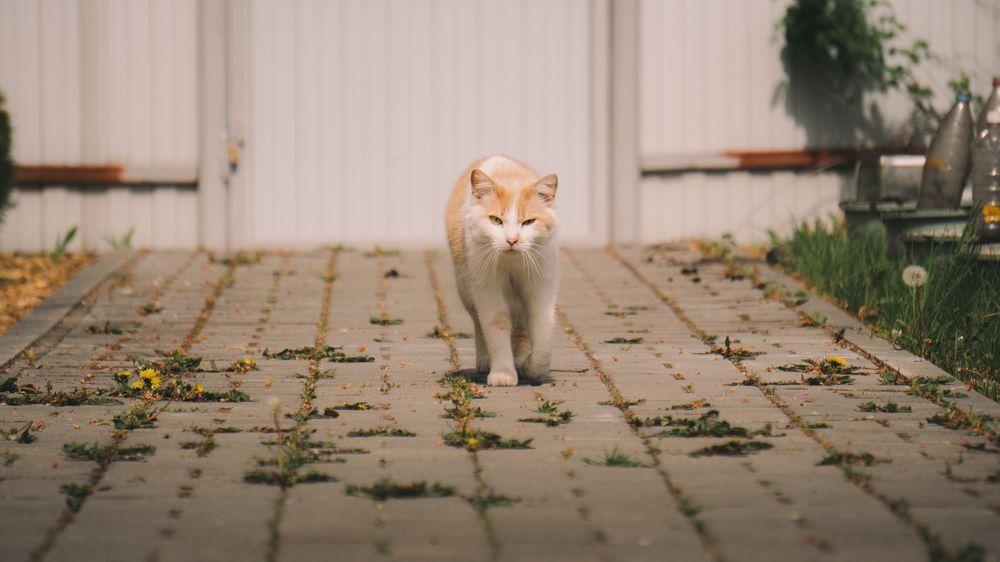 Photograph by Vadzim Darafei