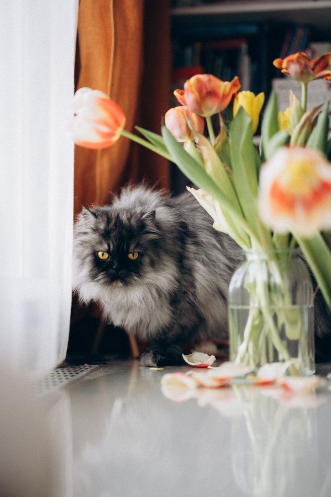 Photograph by Анна Белка