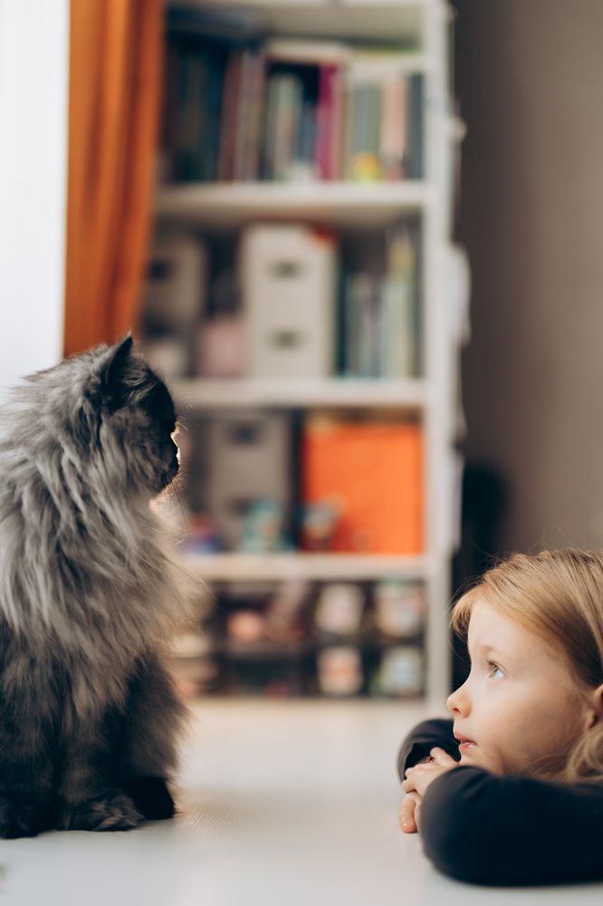 Photograph by Анна Белка