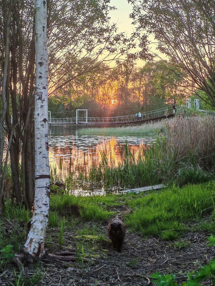 Неудачная рыбалка