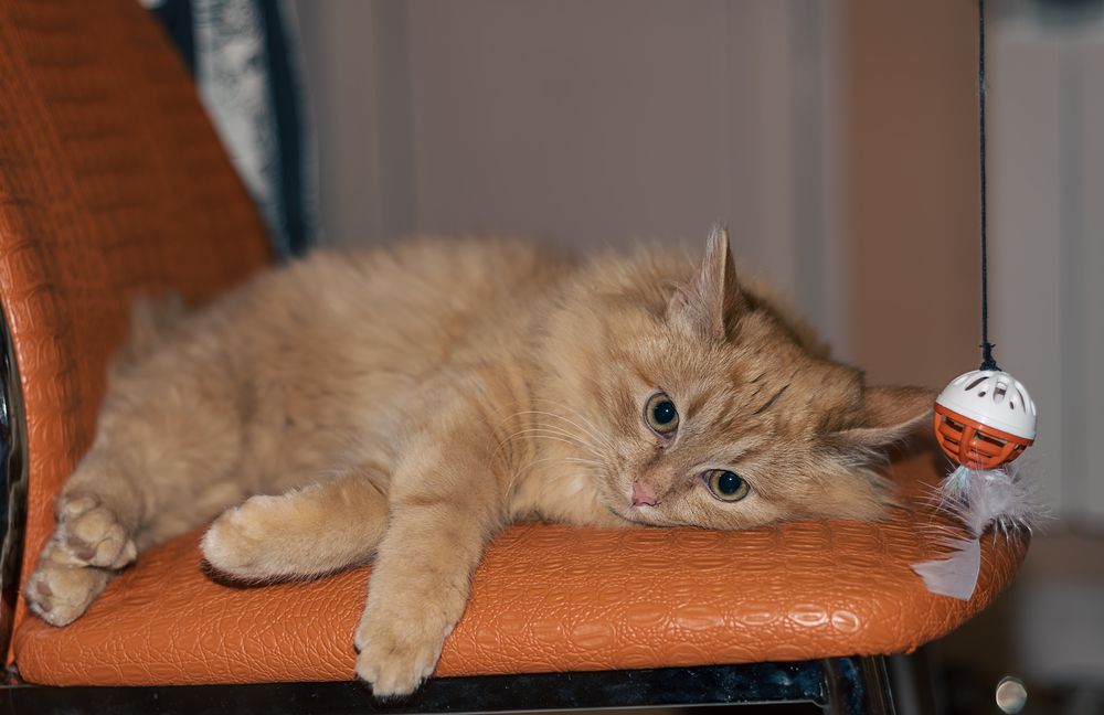 Photograph by Алёна