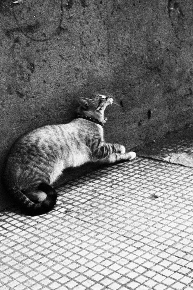 Photograph by Elena Zemskovich